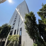 モデルノトッレ松濤