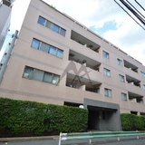 ルピナス目黒東山