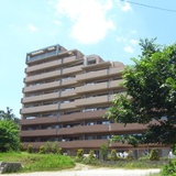 シャールレーク大井桜通り