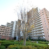 スターコート豊洲