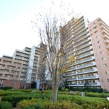 スターコート豊洲