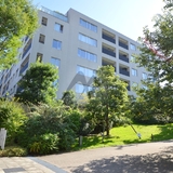 センチュリーフォレスト