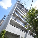 ウィルレーナ目白